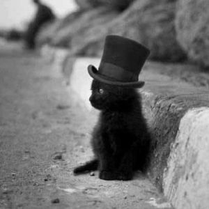 Meet your Posher, Loretta